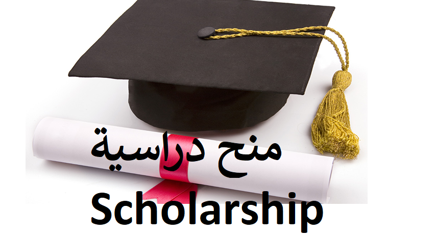 منحة جامعة سيول الوطنية